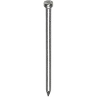 ROESTVASTSTALEN NAGELS 2.7X50MM VK