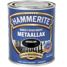 HT HG ST BLAUW S028 250ML