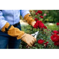ROZEN HANDSCHOEN FELCO 705, MAAT L. HOOGWAARDIG LEDER MET SUEDE MANCHET, PERFORATIE BESTENDIG