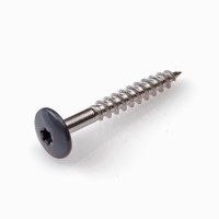 HPL SCHROEF RVS-A2 TX-20 ANTRACIETGRIJS RAL7016 4.8X25 (100)