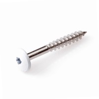 HPL SCHROEF RVS-A2 TX-20 CRÈMEWIT RAL9001 4.8X25 (100)