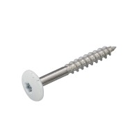 HPL SCHROEF RVS-A2 TX-20 ZUIVER WIT RAL9010 4.8X25 (100)