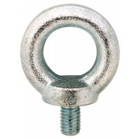 OOGBOUT DIN 580 6MM VERZ